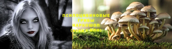 МДМА Арсеньев