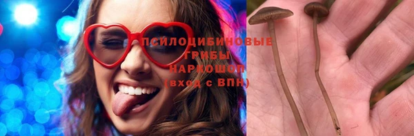 PSILOCYBIN Армянск