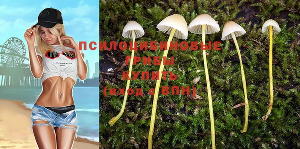 МДМА Арсеньев