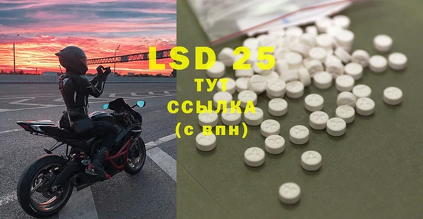 PSILOCYBIN Армянск