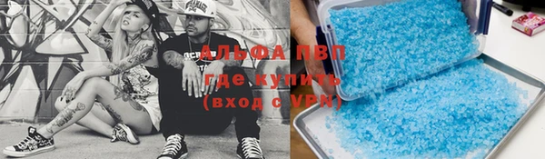 PSILOCYBIN Армянск