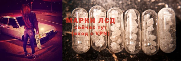 PSILOCYBIN Армянск