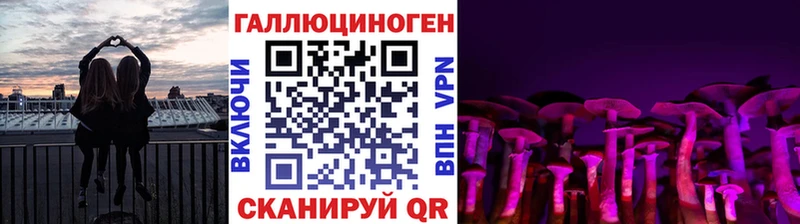 что такое наркотик  Циолковский  МЕГА зеркало  Галлюциногенные грибы Cubensis 