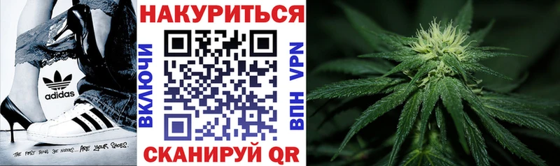 купить наркотики цена Циолковский Каннабис Bruce Banner